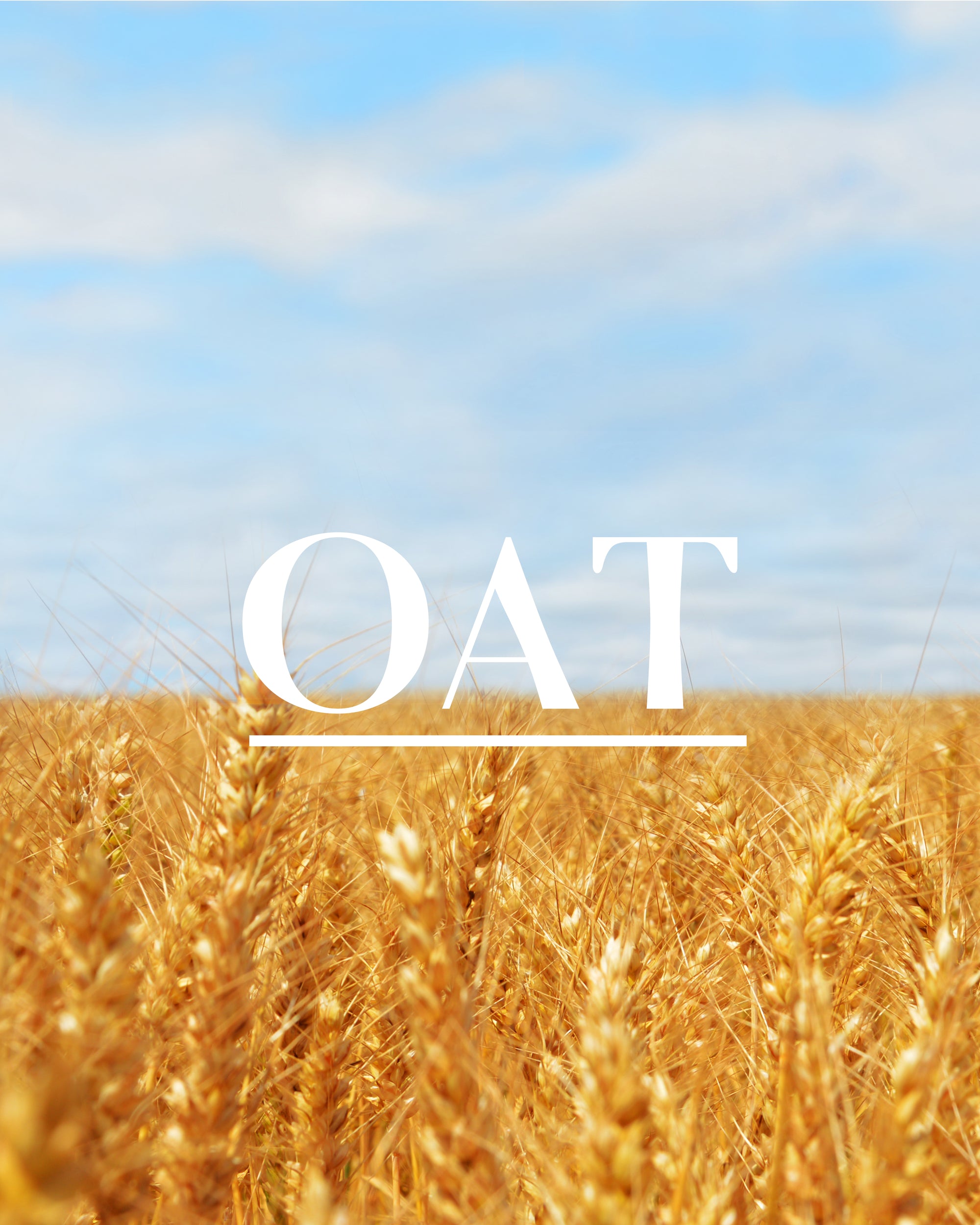 The Essentials - Super Oat